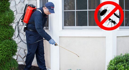 Bademler Gümüşkurt İlaçlama böcek ilaçlama ve haşere kontrolü — ilaclama-tr.com